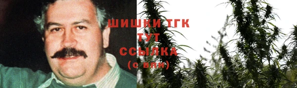 хмурый Абинск
