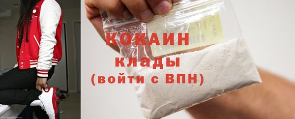 СК Новодвинск