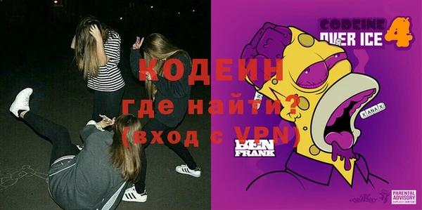 хмурый Новозыбков
