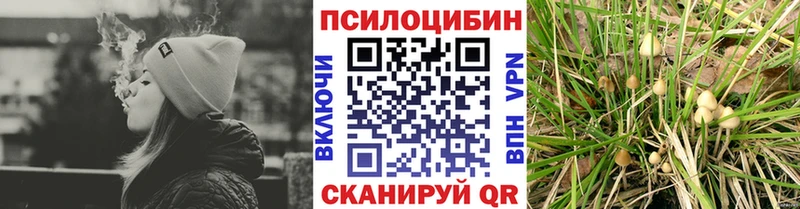 Галлюциногенные грибы мицелий Адыгейск